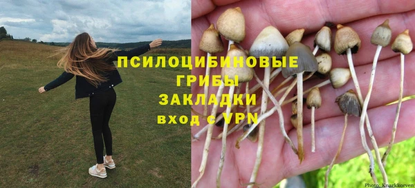 МДПВ Балахна