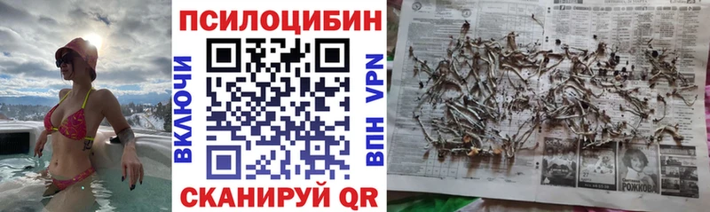 МЕГА маркетплейс  Макарьев  Галлюциногенные грибы Psilocybine cubensis 